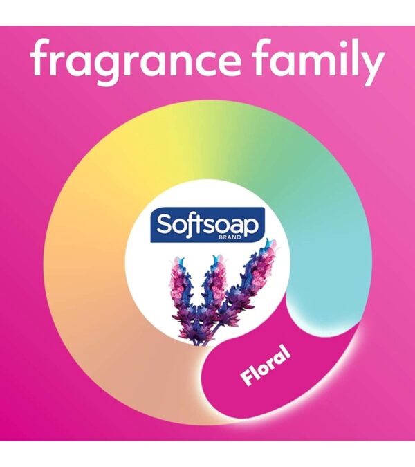 img-05dd8215854f8102f979ab1a712c898b Softsoap Liquid Hand Soap, Soft Rose – 7.5 Fl Oz (Pack of 6)