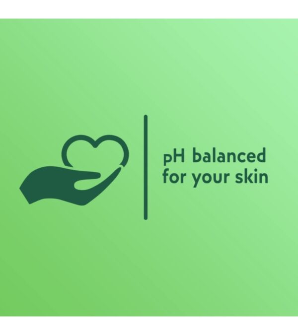 img-061777cfefc8910d82263e1c95cbd79c Softsoap Moisturizing Liquid Hand Soap, Soothing Clean Aloe Vera – 7.5 Fl Oz (Pack of 6)