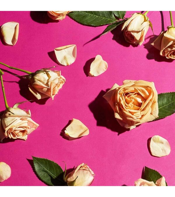 img-065aa0a2f71b76f23cffd58028863350 Softsoap Liquid Hand Soap, Soft Rose – 7.5 Fl Oz (Pack of 6)