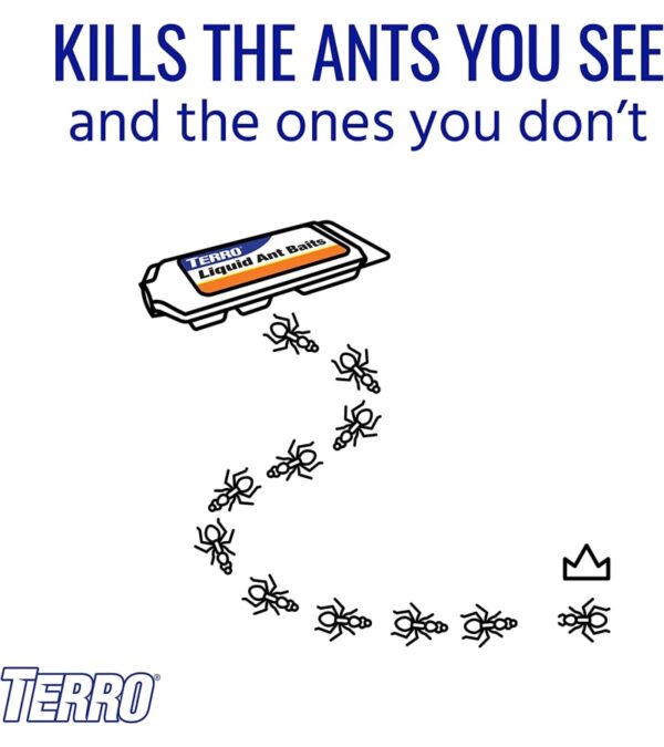 img-14cc14bb827b8c86342be435e5c5d3ff TERRO T300B Liquid Ant Killer, 12 Bait Stations