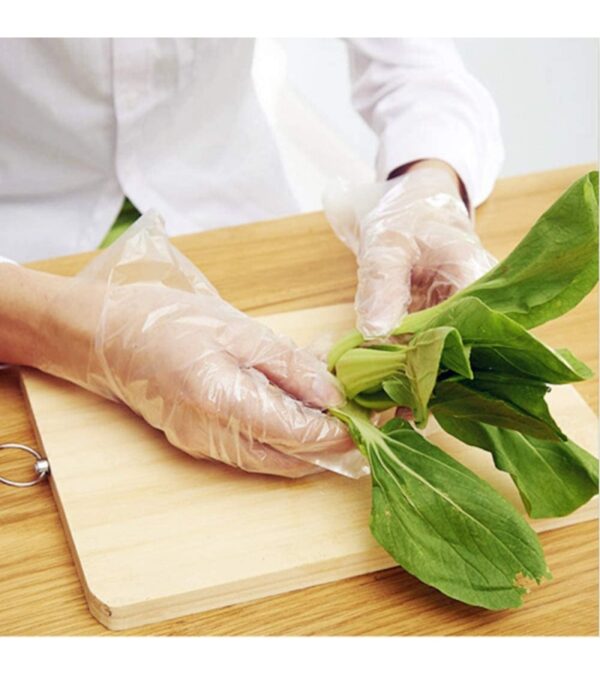 img-1847d7570664d1cd484cb4b1d7da9dc3 Disposable Food Prep Gloves – 500 Piece Plastic Food Safe Disposable Gloves, Food Handling, One Size Fits Most (500 PCS)
