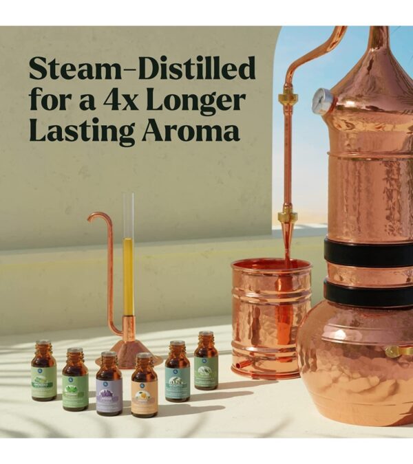 img-1a1d523b8e7a2d6e5288809a2b1dab1e Essential Oils Set – Top 6 Organic Blends for Diffusers, Home Care, Candle Making, Fragrance, Aromatherapy, Humidifiers, Gifts – Peppermint, Tea Tree, Lavender, Eucalyptus, Lemongrass, Orange (10mL)