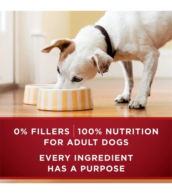 img-204ceaef4baa4466ea88f777e52191b5 Purina ONE True Instinct Tender Cuts in Gravy With Real Turkey and Venison, and With Real Chicken and Duck High Protein Wet Dog Food Variety Pack – (12) 13 oz. Cans