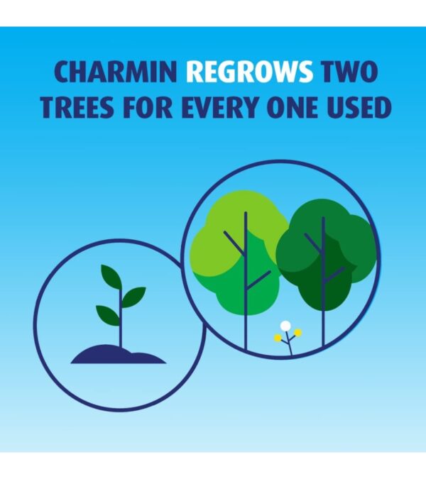 img-29b2d462ae0a3facfd6f4b744b3ed3a3-1 Charmin Ultra Touch, 24 Family Mega Count, White, 8 Family Count