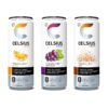 img-2c2a62d381aa31449a0c382f81631835 CELSIUS Sparkling Classic Pop Pack, Functional Essential Energy Drink 12 Fl Oz (Pack of 24)