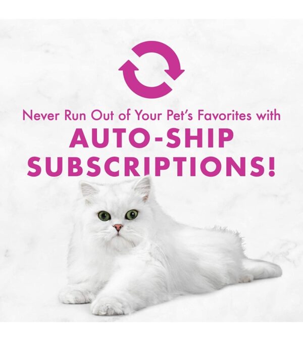 img-313ef1ba46f66f1c03d9b118fb51a90e Purina Fancy Feast Grain Free Pate Wet Cat Food Variety Pack, Poultry & Beef Collection – 3 oz. Cans, 30 Count (Pack of 1)