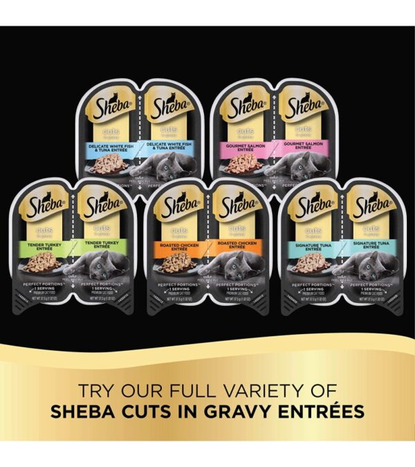 img-419d77745de8dd23406786ec6945ebe6 SHEBA PERFECT PORTIONS Cuts in Gravy Wet Cat Food Trays (24 Count, 48 Servings), Roasted Chicken, Gourmet Salmon and Tender Turkey Entrée, Easy Peel Twin-Pack Trays