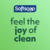 img-460677d60aed31b23d3f1f4bd88c019d Softsoap Moisturizing Liquid Hand Soap, Soothing Clean Aloe Vera – 7.5 Fl Oz (Pack of 6)