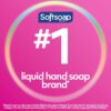 img-5660e5e725291066840708962fb511be Softsoap Liquid Hand Soap, Soft Rose – 7.5 Fl Oz (Pack of 6)