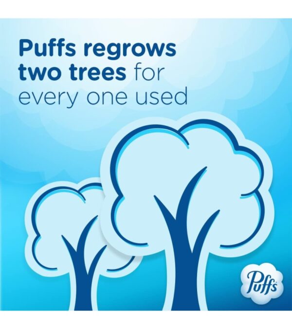 img-669f17276b5a93c8ca83d2fafb62bb8e Puffs Plus Lotion Facial Tissues, 8 Family Boxes, 124 Facial Tissues per Box