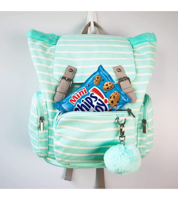 img-6b5288f04b5377f4869b1a8117b75d6e OREO Mini Cookies, CHIPS AHOY Mini Cookies, SOUR PATCH KIDS Candy & Nutter Butter Bites Cookies & Candy Variety Pack, 32 Snack Packs