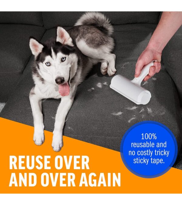 img-6d95fa69a7a59a984897bd153c4dd121 ChomChom Pet Hair Remover – Reusable Cat and Dog Hair Remover for Furniture, Couch, Carpet, Car Seats or Bedding – Portable, Multi-Surface Lint Roller and Fur Removal Tool