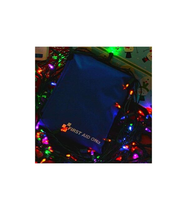 img-6d9b82f84af08a4837844ddb3071707a First Aid Only 298 Piece All-Purpose First Aid Emergency Kit (FAO-442)