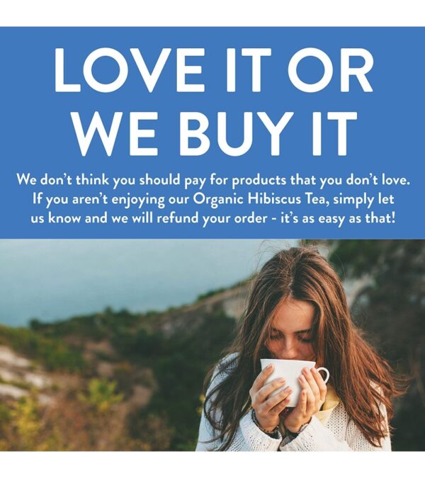 img-6e2a23076e3d9bbce013106d7905884f Organic Hibiscus Tea Bags | 100 Tea Bags | Eco-Conscious Tea Bags in Kraft Bag | Raw from Egypt | by FGO