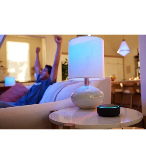 img-778f8210c4ee028710395cbc886a954a Echo Dot (3rd Gen, 2018 release) – Smart speaker with Alexa – Charcoal