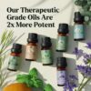 img-8d795342a9838b4ee282ff581d15ad89 Essential Oils Set – Top 6 Organic Blends for Diffusers, Home Care, Candle Making, Fragrance, Aromatherapy, Humidifiers, Gifts – Peppermint, Tea Tree, Lavender, Eucalyptus, Lemongrass, Orange (10mL)