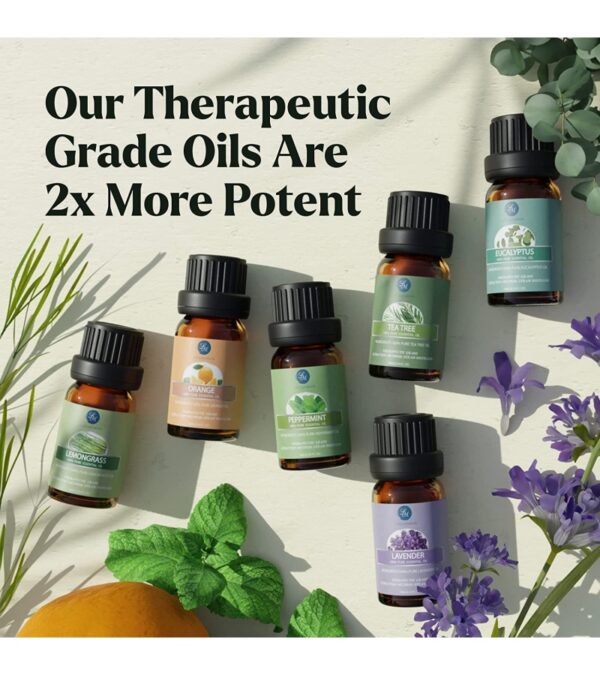 img-8d795342a9838b4ee282ff581d15ad89 Essential Oils Set – Top 6 Organic Blends for Diffusers, Home Care, Candle Making, Fragrance, Aromatherapy, Humidifiers, Gifts – Peppermint, Tea Tree, Lavender, Eucalyptus, Lemongrass, Orange (10mL)