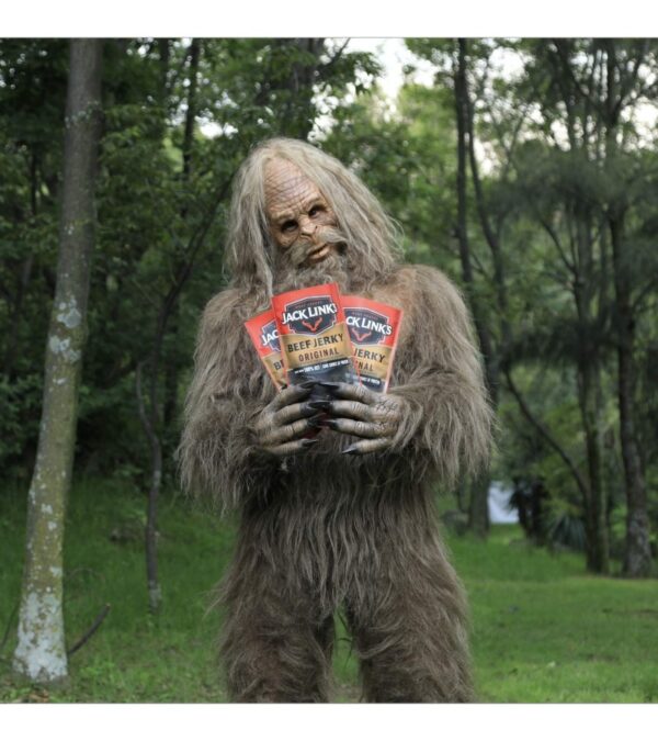 img-9e164aae43a7c770517e5704e9393416 Jack Link's Beef Sticks, Zero Sugar, Original – Protein Snack, Meat Stick with 6g of Protein, Made with 100% Beef, No Added MSG** – 0.92 Oz. (20 Count)