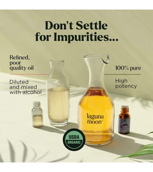 img-abefed992ae9669b70801063bd450f2f Essential Oils Set – Top 6 Organic Blends for Diffusers, Home Care, Candle Making, Fragrance, Aromatherapy, Humidifiers, Gifts – Peppermint, Tea Tree, Lavender, Eucalyptus, Lemongrass, Orange (10mL)