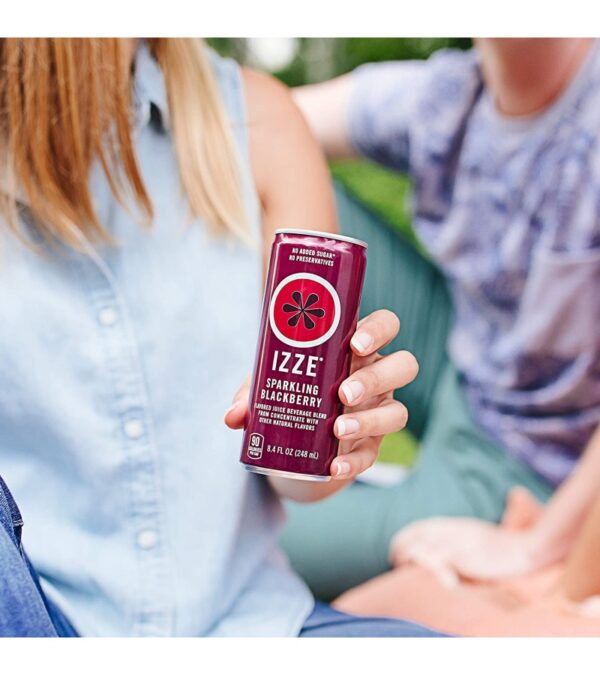 IZZE Sparkling Juice, 4 Flavor Variety Pack, 8.4 Fl Oz (24 Count)