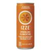 IZZE Sparkling Juice, 4 Flavor Variety Pack, 8.4 Fl Oz (24 Count)