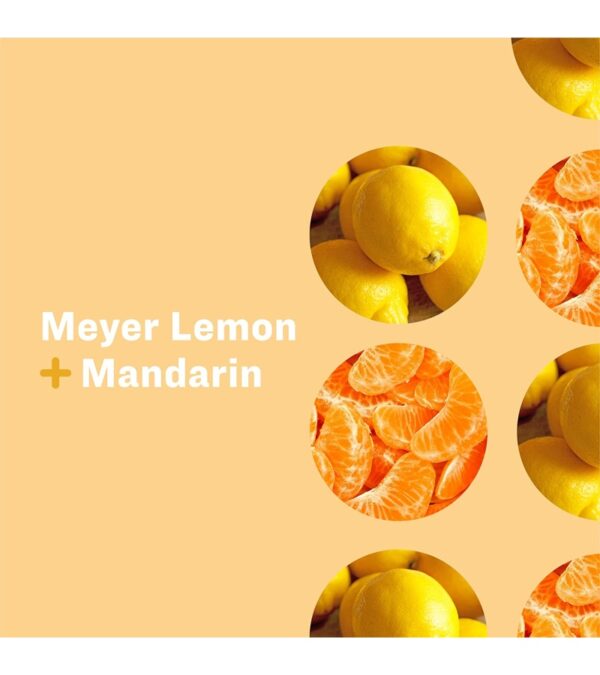 img-df91d03f21a2ee5340b31d5b25d11e32 Everyone Liquid Hand Soap, 12.75 Ounce (Pack of 3), Meyer Lemon and Mandarin, Plant-Based Cleanser with Pure Essential Oils