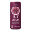 IZZE Sparkling Juice, 4 Flavor Variety Pack, 8.4 Fl Oz (24 Count)